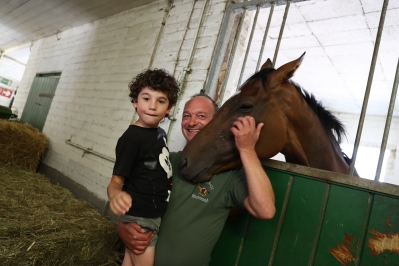 Ein Pferd im Stall, ein Mitarbeiter mit einem Kind 