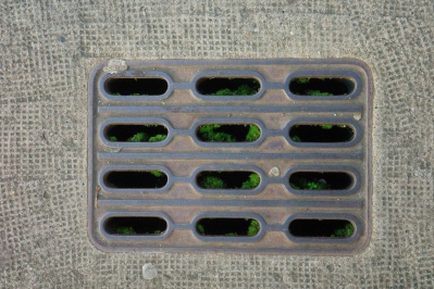 Nahaufnahme eines eckigen Gullideckels aus grauem, verschmutztem Metall. Durch die schmalen Öffnungen wächst grünes Moos empor 