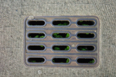 Nahaufnahme eines eckigen Gullideckels aus grauem, verschmutztem Metall. Durch die schmalen Öffnungen wächst grünes Moos empor.